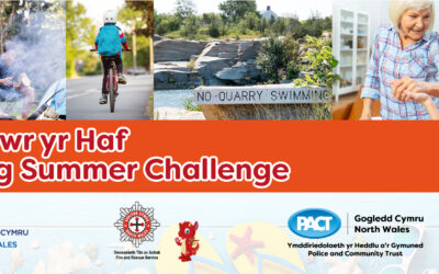 The Big Summer Challenge 2024